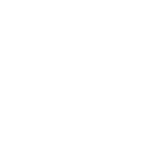 icon simulateur